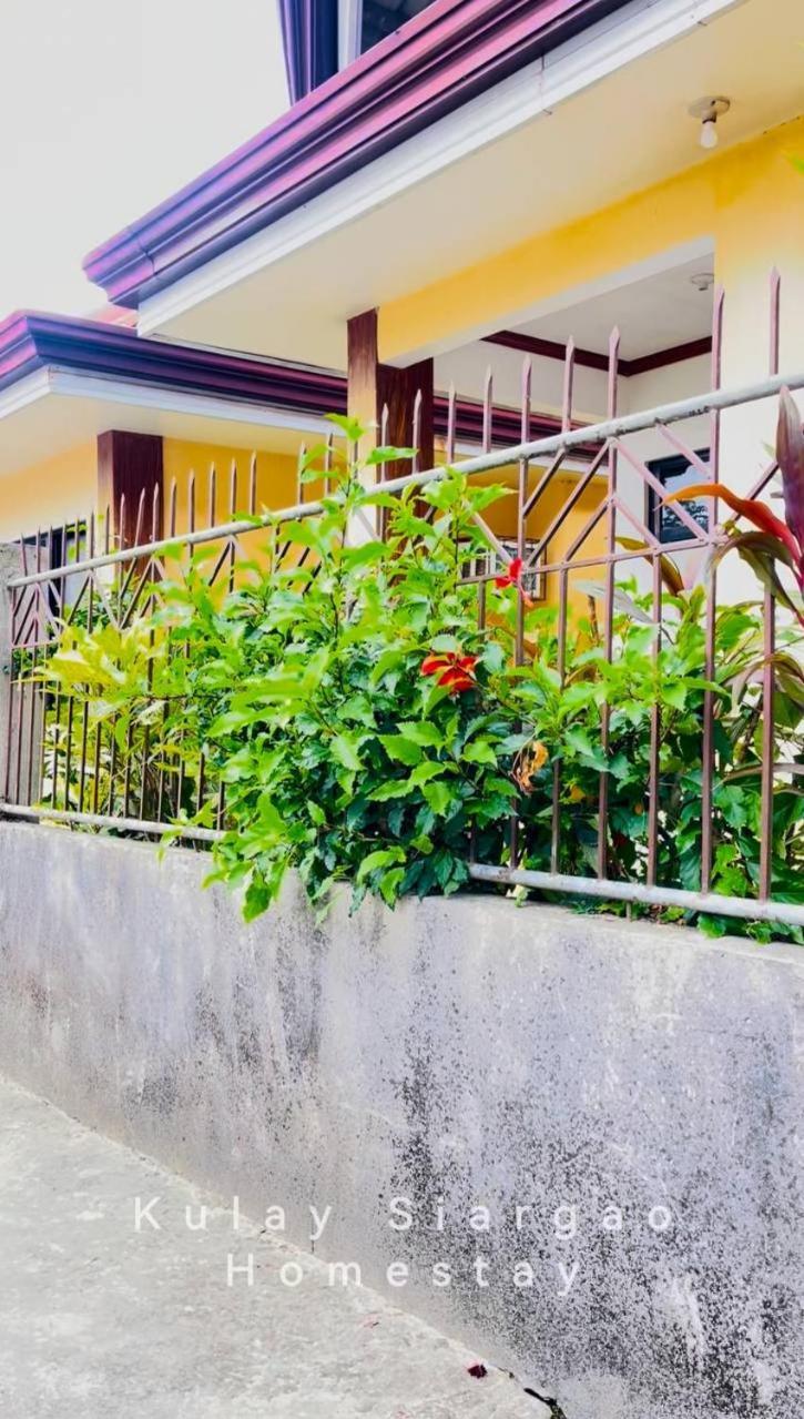 Ameeza Houze Homestay - Siargao General Luna  Luaran gambar
